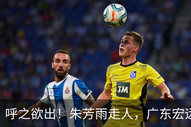 呼之欲出！朱芳雨走人，广东宏远“新掌门人”大概率在此三人产生