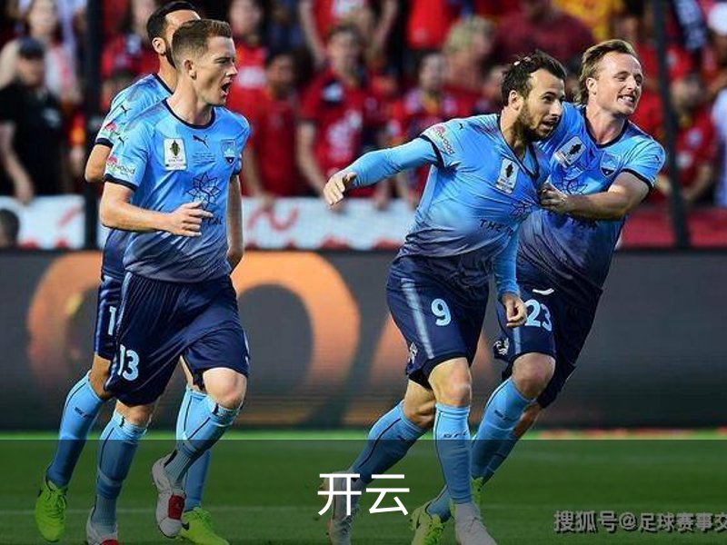 了解开云